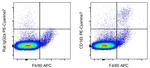 CD163 Monoclonal Antibody (TNKUPJ), PE-Cyanine7, eBioscience™