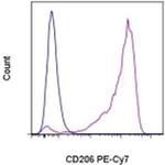 CD206 (MMR) Monoclonal Antibody (19.2), PE-Cyanine7, eBioscience™