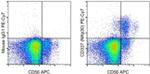 CD337 (NKp30) Monoclonal Antibody (AF29-4D12), PE-Cyanine7, eBioscience™