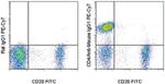 Rat anti-Mouse IgG1 Secondary Antibody, PE-Cyanine7, eBioscience™