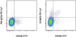 EOMES Monoclonal Antibody (Dan11mag), PE-Cyanine7, eBioscience™