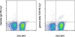 TCR gamma/delta Monoclonal Antibody (eBioGL3 (GL-3, GL3)), PE-Cyanine7, eBioscience™