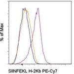 OVA257-264 (SIINFEKL) peptide bound to H-2Kb Monoclonal Antibody (eBio25-D1.16 (25-D1.16)), PE-Cyanine7, eBioscience™