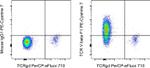 TCR V beta F1 Antibody in Flow Cytometry (Flow)