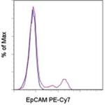 CD326 (EpCAM) Monoclonal Antibody (G8.8), PE-Cyanine7, eBioscience™