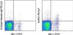 KLRG1 Monoclonal Antibody (2F1), PE-Cyanine7, eBioscience™