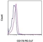 CD178 (Fas Ligand) Monoclonal Antibody (MFL3), PE-Cyanine7, eBioscience™
