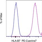 HLA-B7 Monoclonal Antibody (BB7.1), PE-Cyanine7, eBioscience™