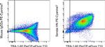 Sendai virus HN Antibody in Flow Cytometry (Flow)