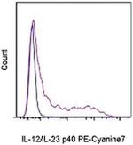 IL-12/IL-23 p40 Monoclonal Antibody (C17.8), PE-Cyanine7, eBioscience™
