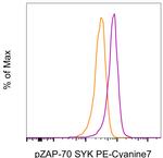 Phospho-ZAP70/Syk (Tyr319, Tyr352) Monoclonal Antibody (n3kobu5), PE-Cyanine7, eBioscience™
