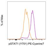 Phospho-STAT1 (Tyr701) Monoclonal Antibody (KIKSI0803), PE-Cyanine7, eBioscience™