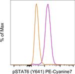Phospho-STAT6 (Tyr641) Antibody in Flow Cytometry (Flow)