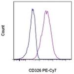 CD326 (EpCAM) Monoclonal Antibody (1B7), PE-Cyanine7, eBioscience™