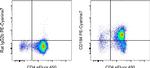 CD184 (CXCR4) Monoclonal Antibody (2B11), PE-Cyanine7, eBioscience™