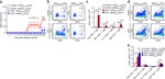 CD4 Antibody in Flow Cytometry (Flow)
