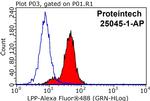 LPP Antibody in Flow Cytometry (Flow)