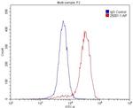 PGP Antibody in Flow Cytometry (Flow)