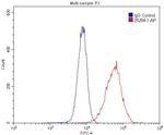 CD38 Antibody in Flow Cytometry (Flow)
