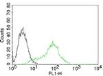 Ku (p70/p80) (Nuclear Marker) Antibody in Flow Cytometry (Flow)