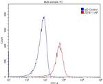 CD68 Antibody in Flow Cytometry (Flow)