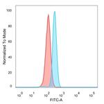CCR4-NOT transcription complex, subunit 10 (CNOT10) Antibody in Flow Cytometry (Flow)