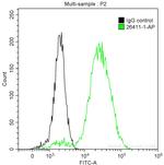 pan-keratin Antibody in Flow Cytometry (Flow)