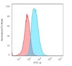GFAP (Astrocyte and Neural Stem Cell Marker) Antibody in Flow Cytometry (Flow)