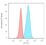 GFAP (Astrocyte and Neural Stem Cell Marker) Antibody in Flow Cytometry (Flow)