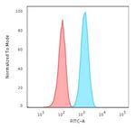 GFAP (Astrocyte and Neural Stem Cell Marker) Antibody in Flow Cytometry (Flow)