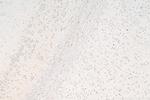 SLC5A8 Antibody in Immunohistochemistry (Paraffin) (IHC (P))