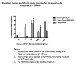 Human HCC-1 (CCL14) (66 aa) Protein in Bioactivity (Bioactivity)