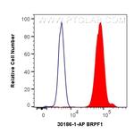 BRPF1 Antibody in Flow Cytometry (Flow)