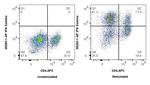IFN Gamma Antibody in Flow Cytometry (Flow)