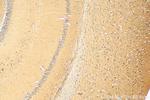 MFSD2 Antibody in Immunohistochemistry (Paraffin) (IHC (P))