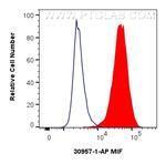 MIF Antibody in Flow Cytometry (Flow)