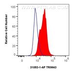TRIM43 Antibody in Flow Cytometry (Flow)