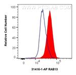 RAB13 Antibody in Flow Cytometry (Flow)