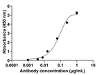 Rat IgG (H+L) Secondary Antibody in ELISA (ELISA)