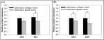 NPM1 Antibody in Western Blot (WB)