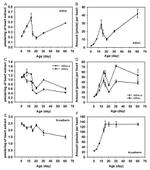N-cadherin Antibody in Western Blot (WB)