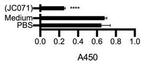 PD-L1 Antibody in ELISA (ELISA)