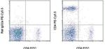 CD4 Monoclonal Antibody (RM4-5), PE-Cyanine5.5, eBioscience™