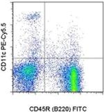 CD11c Monoclonal Antibody (N418), PE-Cyanine5.5, eBioscience™