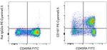 CD197 (CCR7) Monoclonal Antibody (3D12), PE-Cyanine5.5, eBioscience™