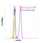 CXCR4 Monoclonal Antibody (12G5)