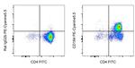 CD184 (CXCR4) Monoclonal Antibody (2B11), PE-Cyanine5.5, eBioscience™
