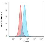 Aquaporin 4 (AQP4) Antibody in Flow Cytometry (Flow)