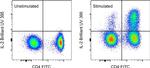 IL-2 Antibody in Flow Cytometry (Flow)