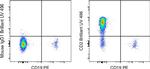 CD2 Monoclonal Antibody (RPA-2.10), Brilliant Ultra Violet™ 496, eBioscience™
